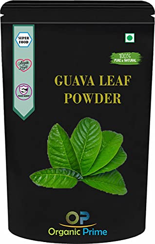 Organic Prime Guava Leaves Powder Psidium Guajava Guava Leaf